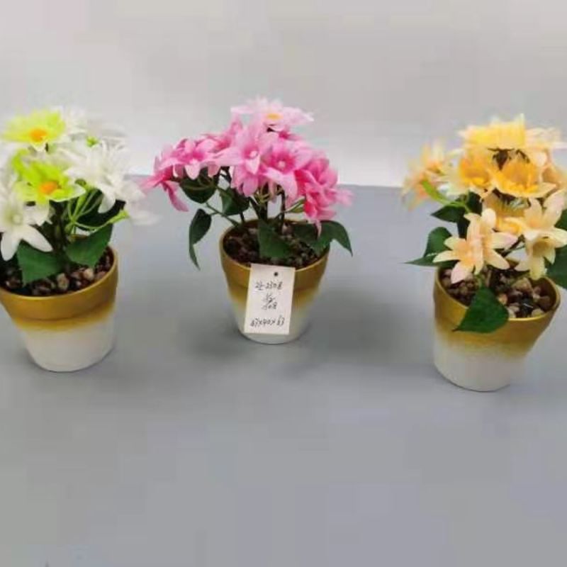 Bonsai details Picture
