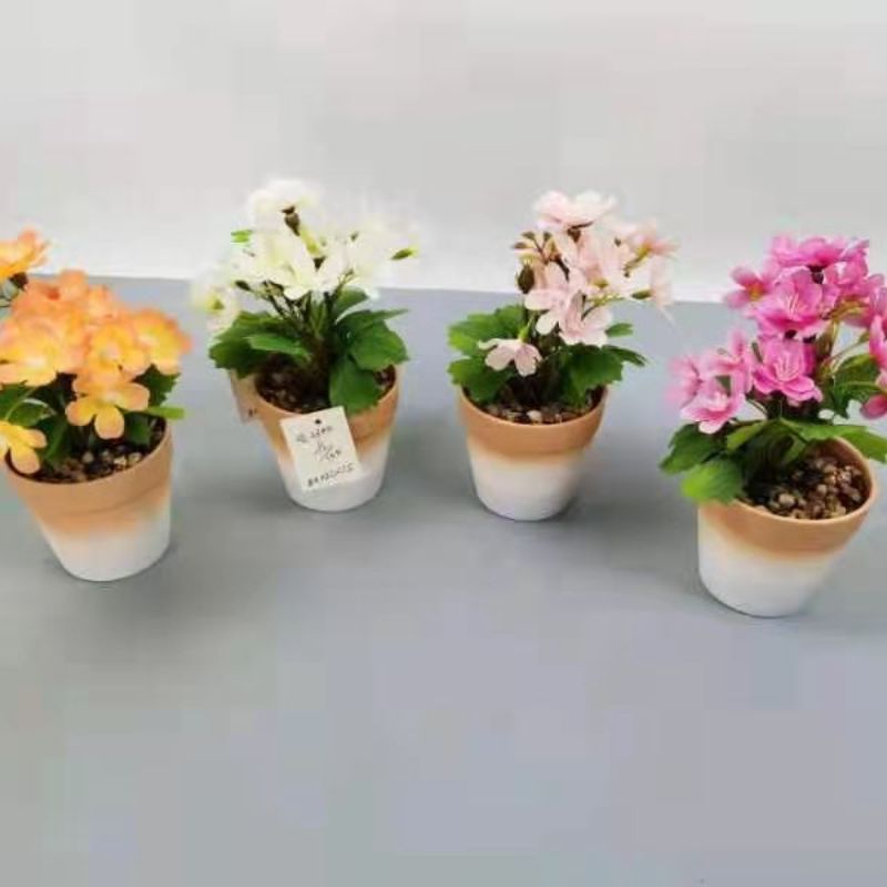 Bonsai Bonsai