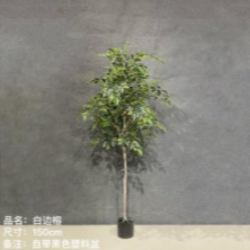 "Fresh and clean plants" Specification image