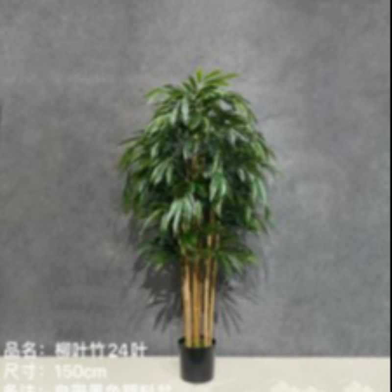 Bonsai details Picture