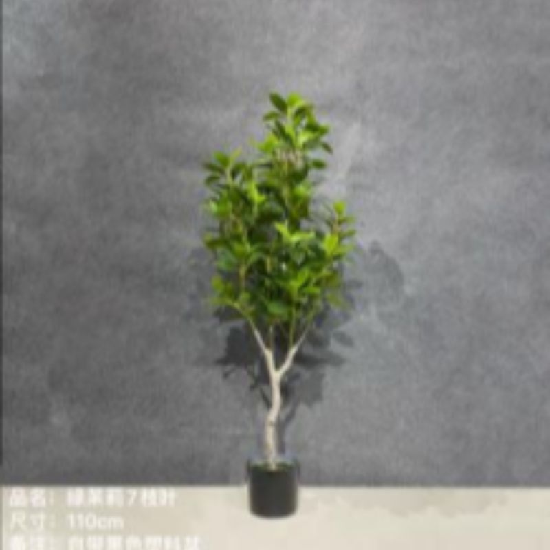 "Fresh and clean plants"