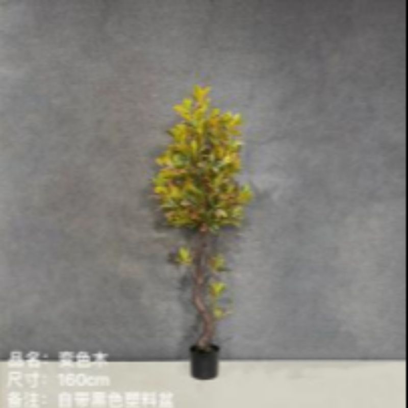 نباتات صغيرة Specification image