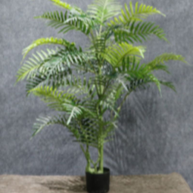 "Fresh and clean plants"