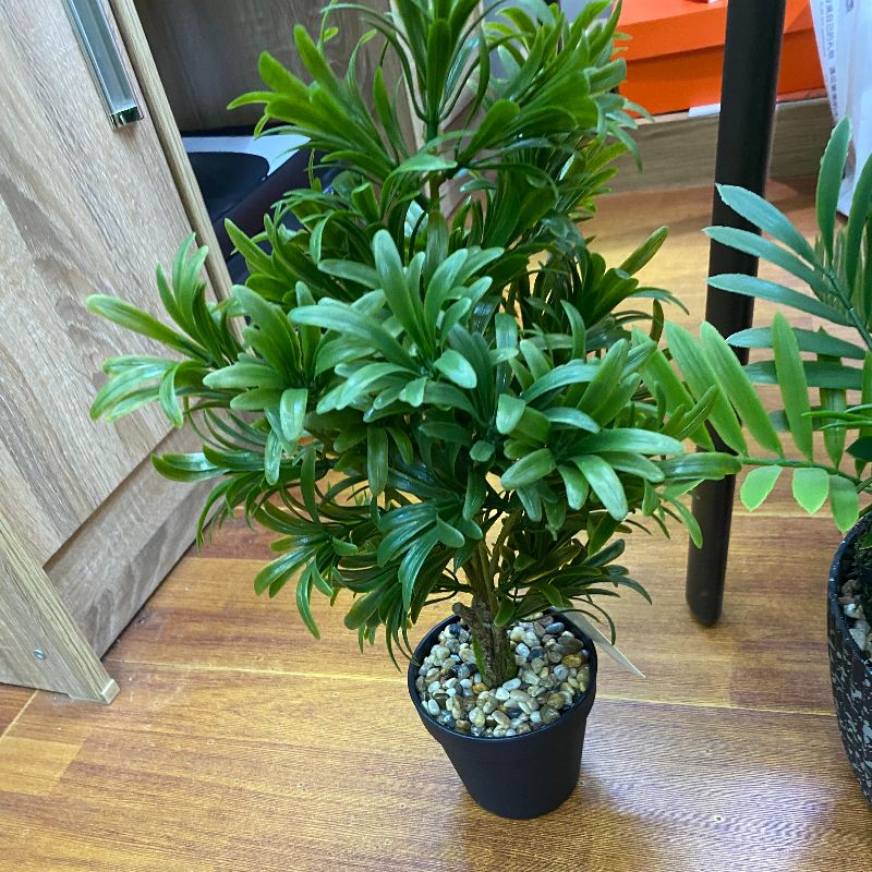 نباتات صغيرة Specification image