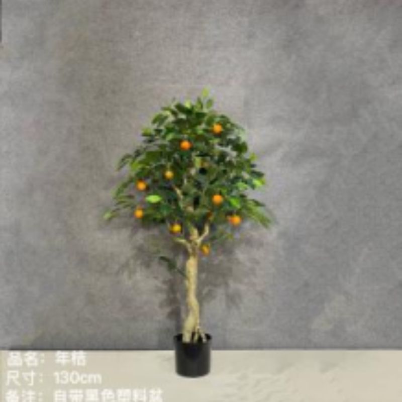 "Fresh and clean plants"