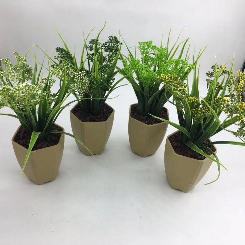 "Fresh and clean plants" details Picture