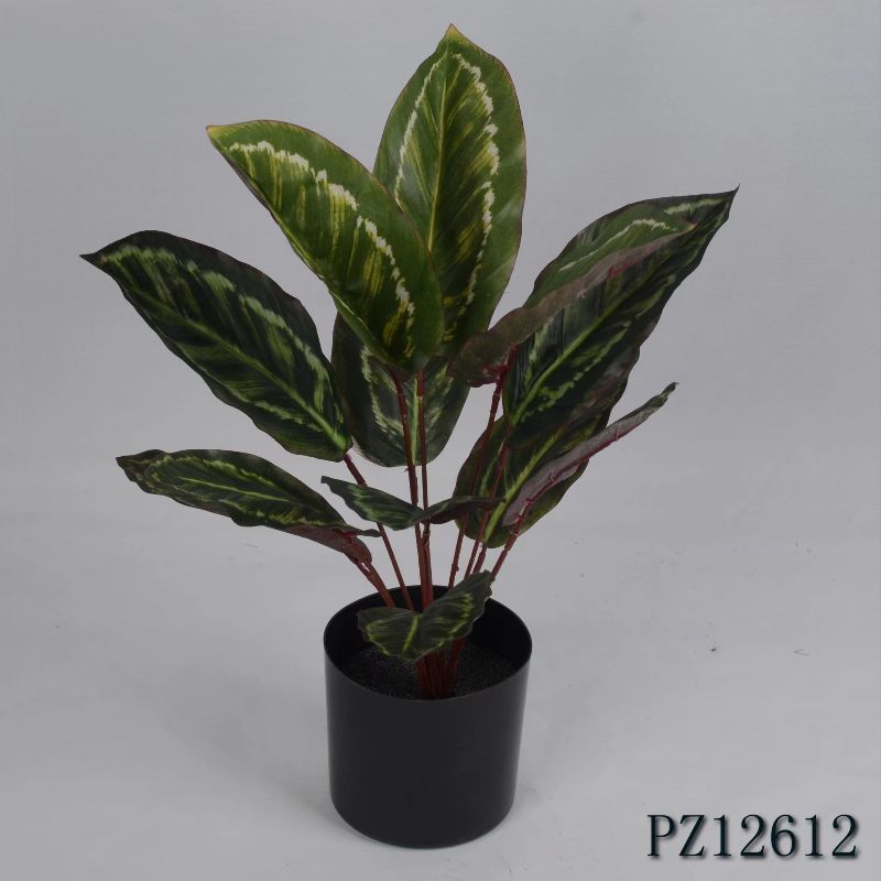 "Fresh and clean plants" details Picture