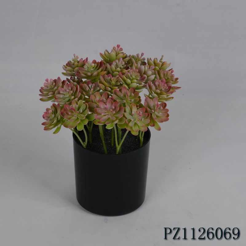 "Fresh and clean plants" Specification image