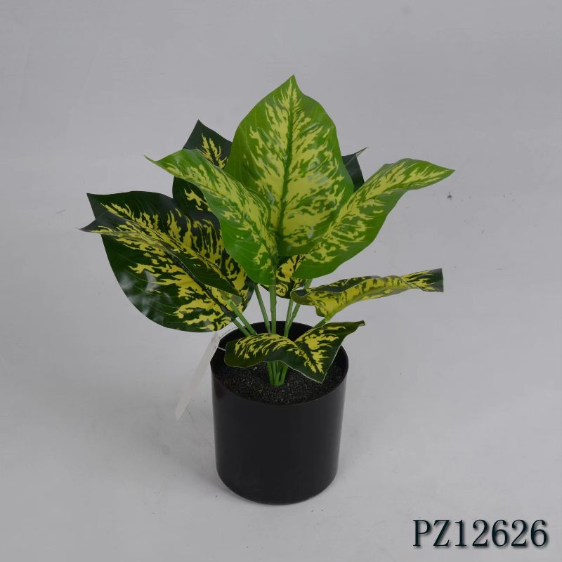 "Fresh and clean plants" Specification image