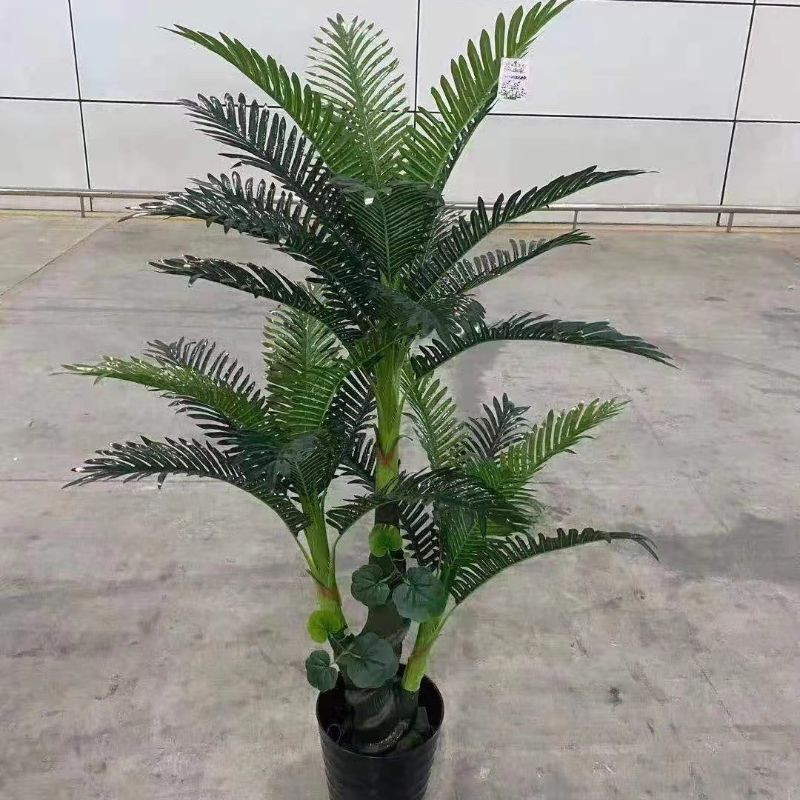نباتات صغيرة