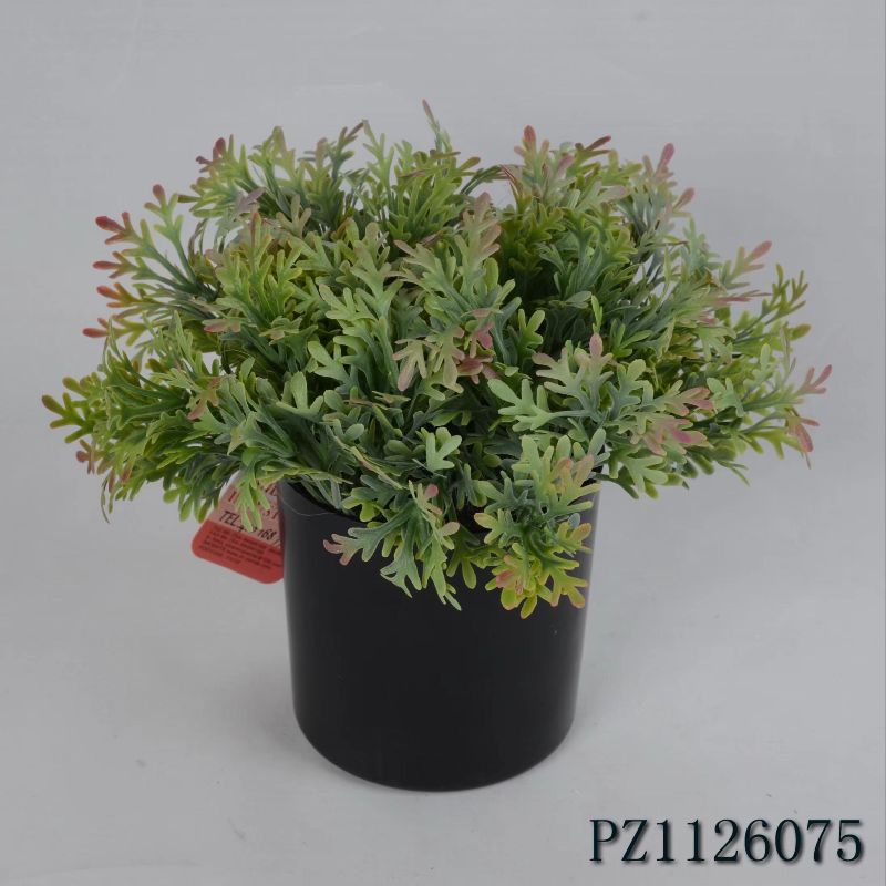 "Fresh and clean plants"