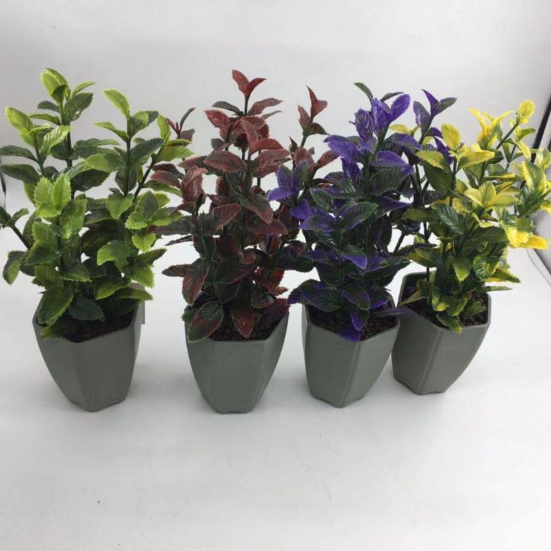 "Fresh and clean plants" Specification image