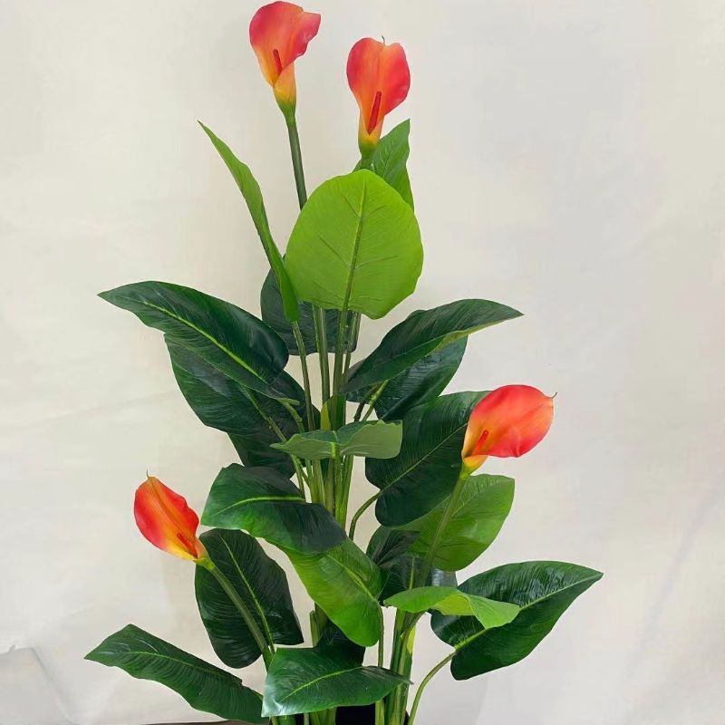 "Fresh and clean plants" Specification image