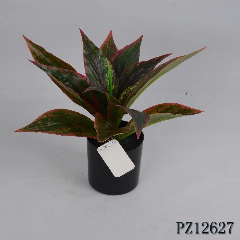 "Fresh and clean plants" details Picture