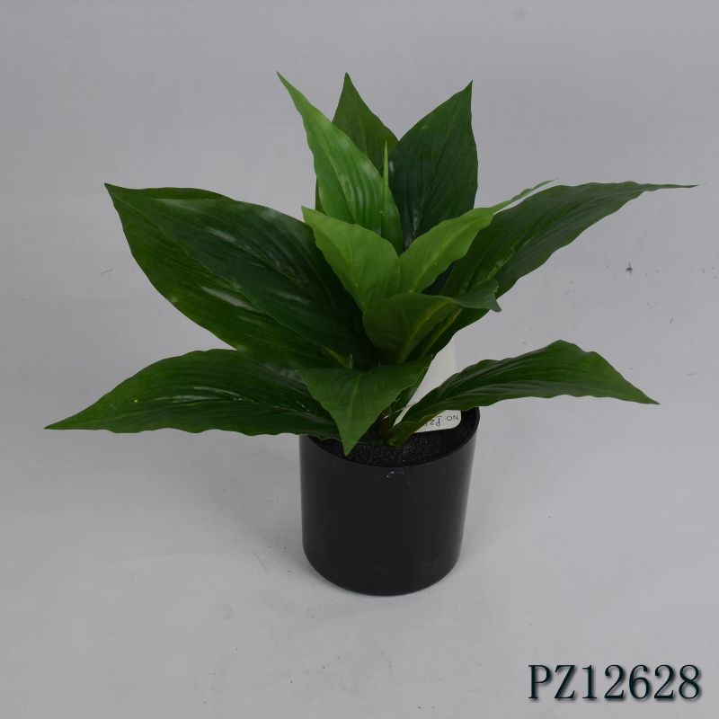 "Fresh and clean plants"