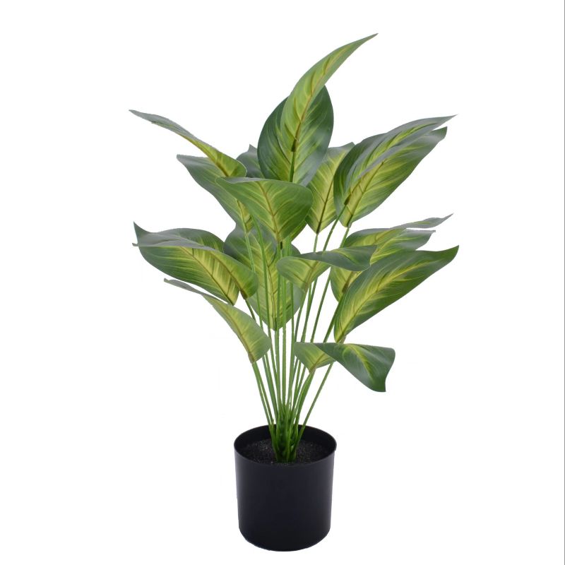 "Fresh and clean plants" Specification image
