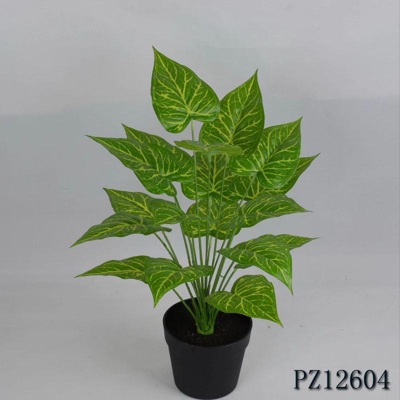 "Fresh and clean plants" Specification image