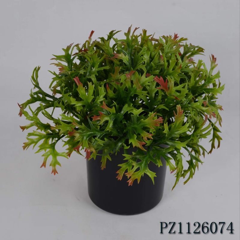 "Fresh and clean plants" details Picture