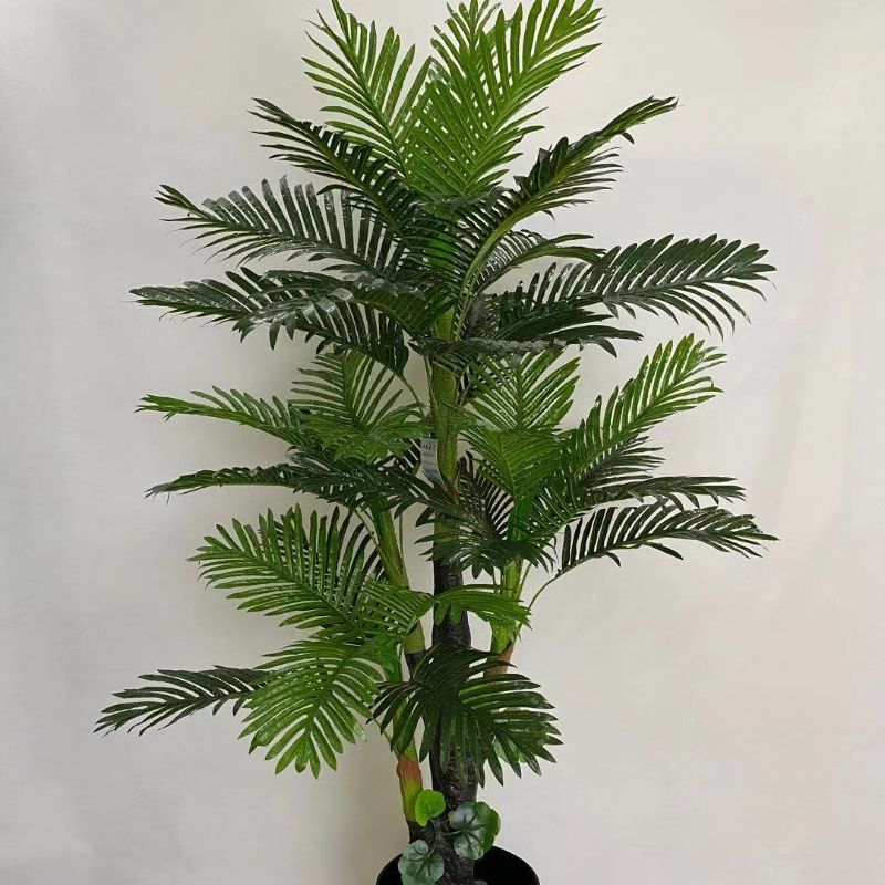 "Fresh and clean plants" Specification image
