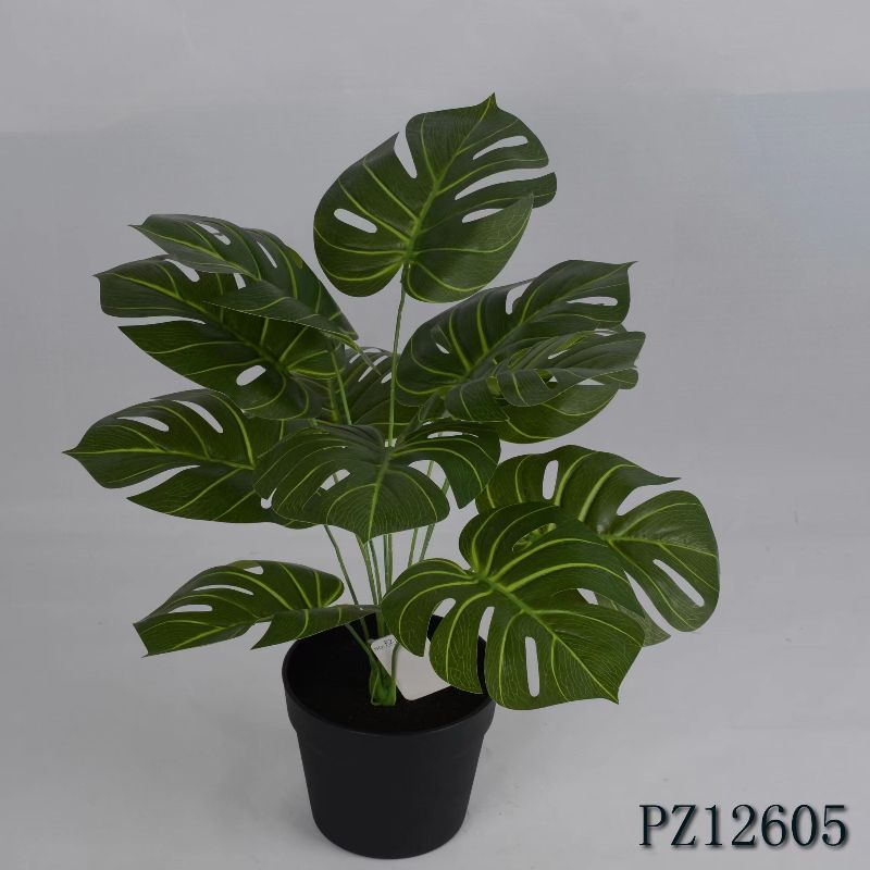 "Fresh and clean plants" Specification image
