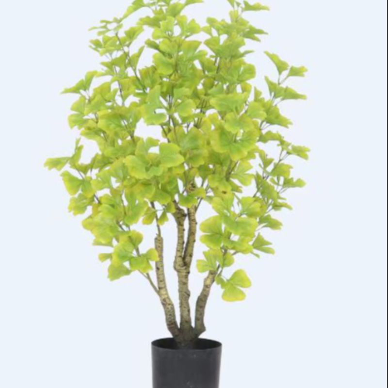 "Fresh and clean plants" details Picture