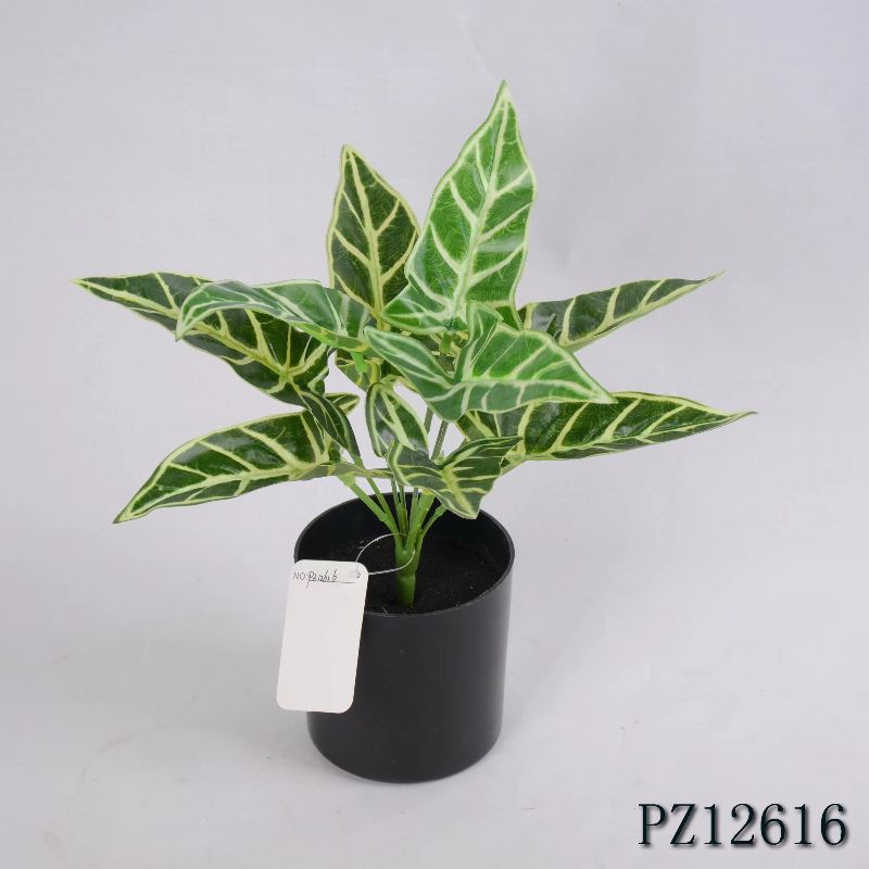 "Fresh and clean plants"