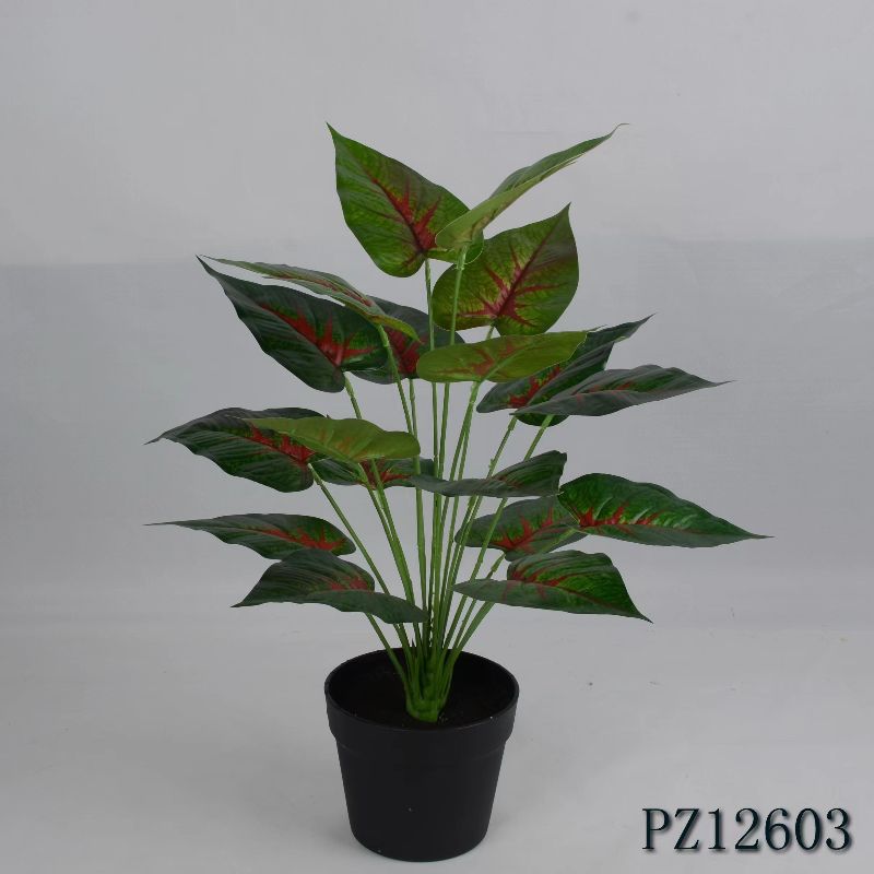 "Fresh and clean plants" details Picture
