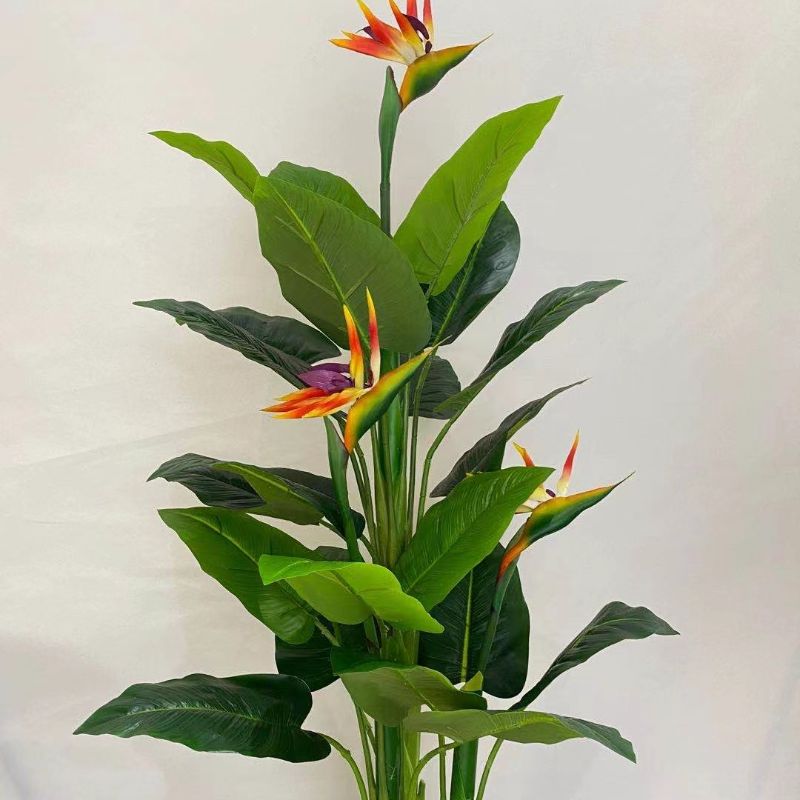 "Fresh and clean plants" details Picture