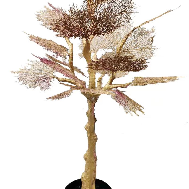 نباتات صغيرة Specification image