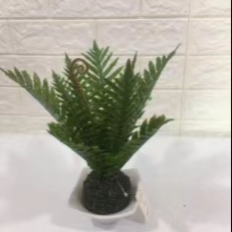 "Fresh and clean plants" details Picture