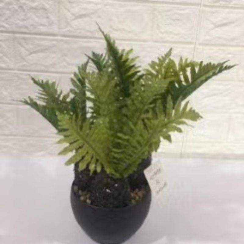 "Fresh and clean plants" details Picture