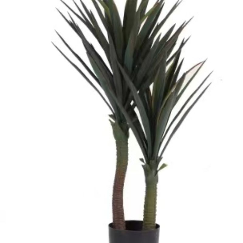 "Fresh and clean plants" Specification image