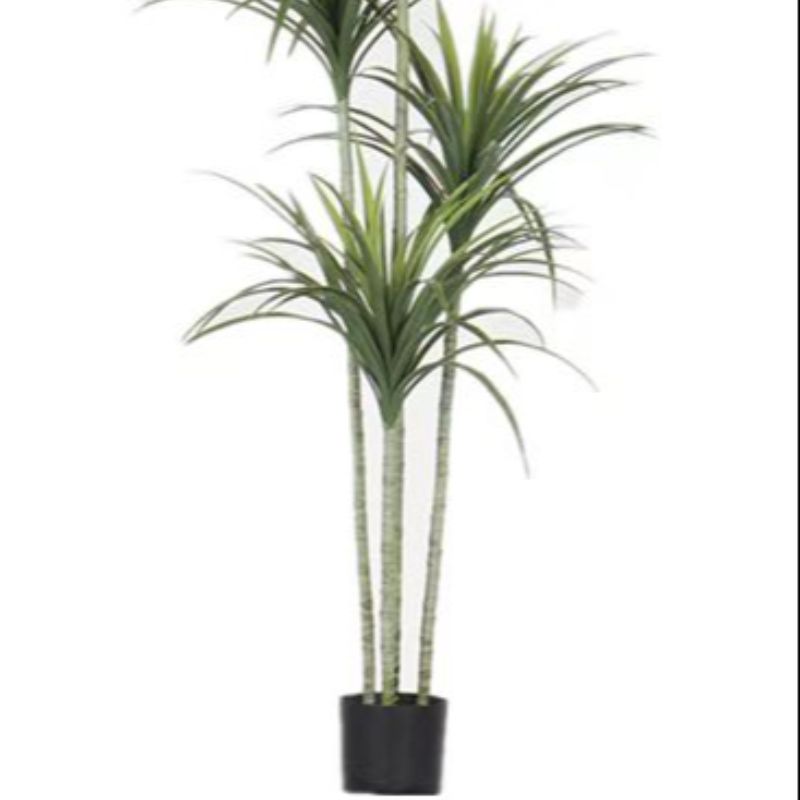 Bonsai Specification image