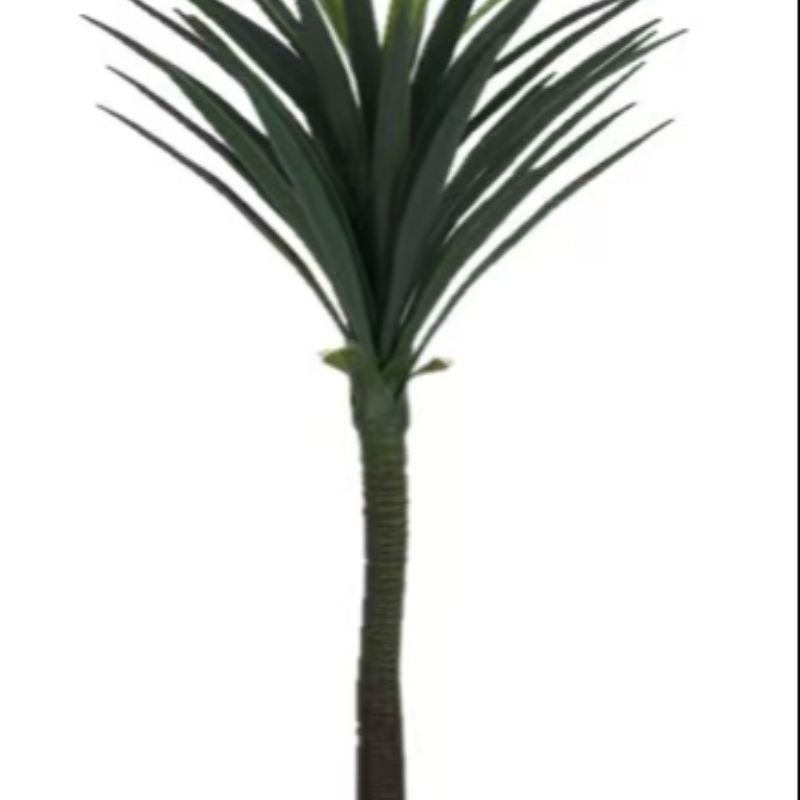 The bonsai 24 simulation handicrafts, decorative ornaments and artificial flowers come in a wide variety of colors and types, with all sizes and specifications available. Customized orders based on samples are also available Specification image
