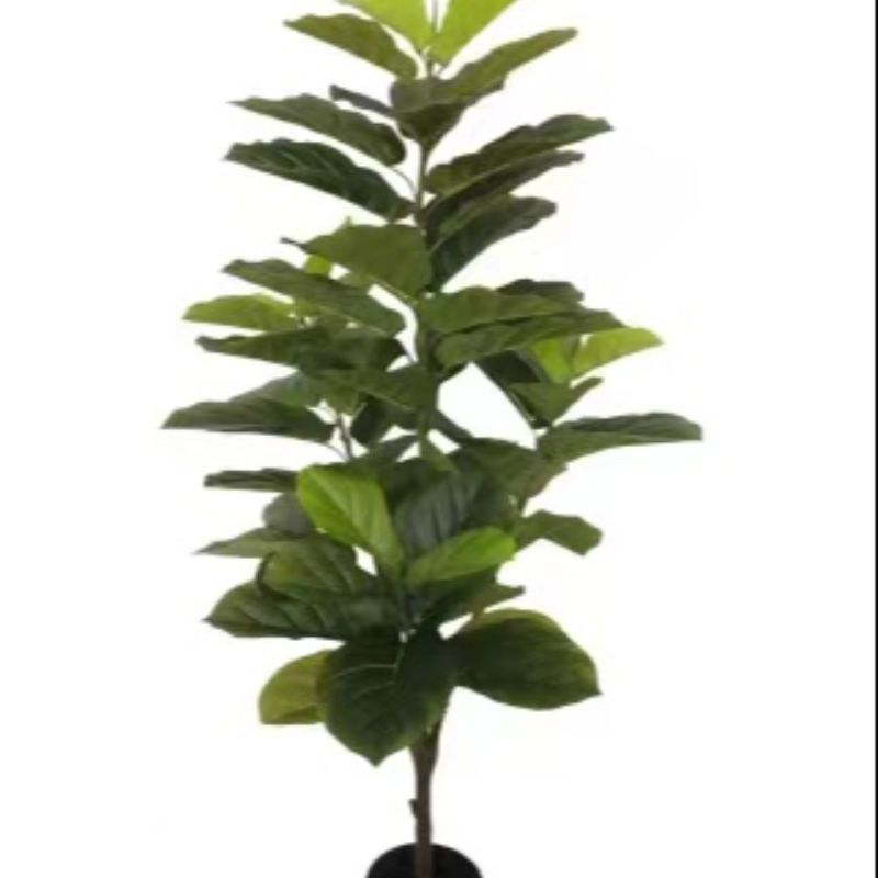"Fresh and clean plants" Specification image