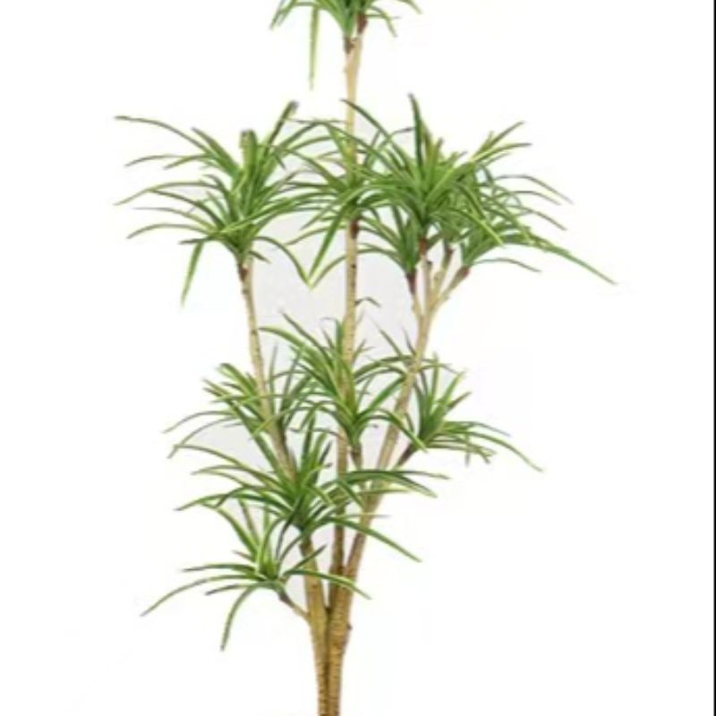 "Fresh and clean plants"