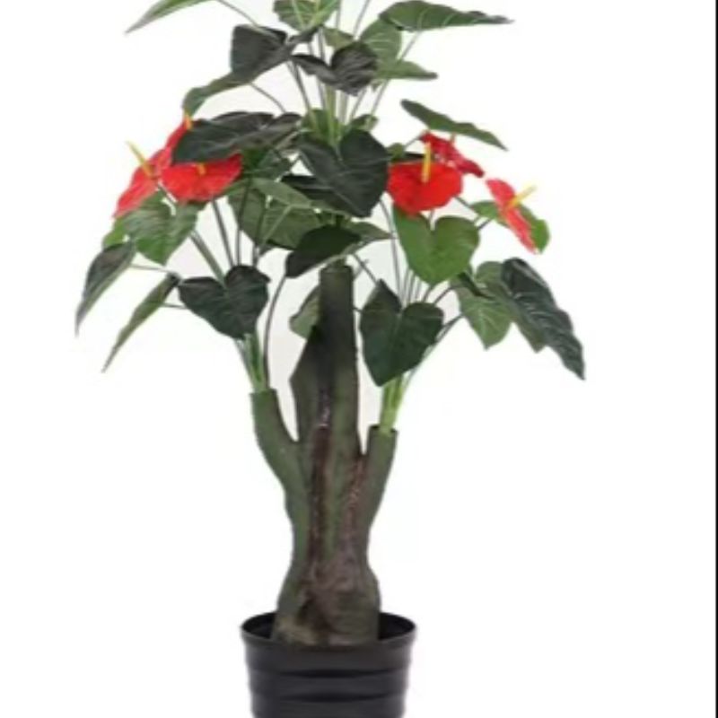 نباتات صغيرة Specification image