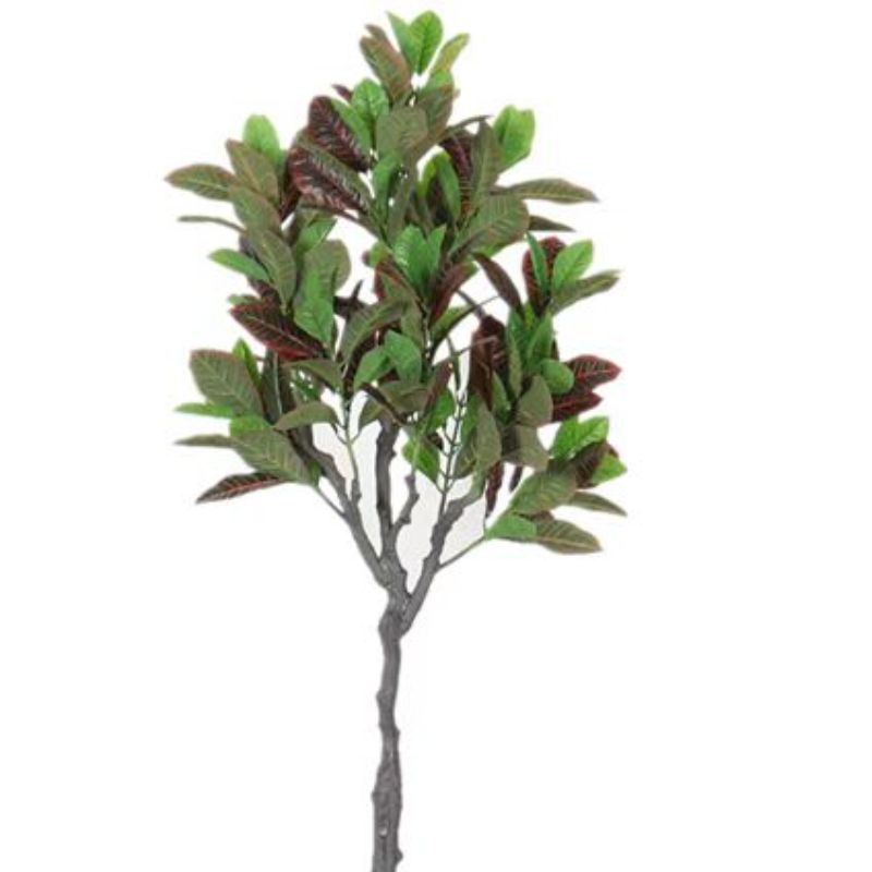 "Fresh and clean plants" Specification image