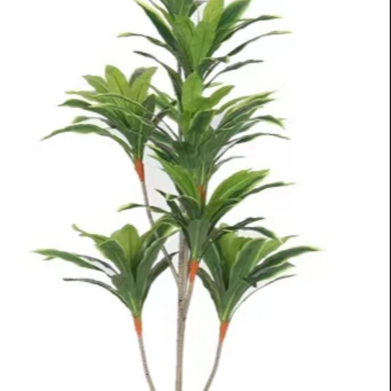 "Fresh and clean plants" Specification image