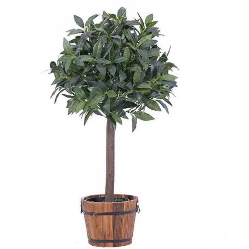 يمكن ان تُصمَّم اصناف متنوعة من الازهار بحسب الحجم Specification image