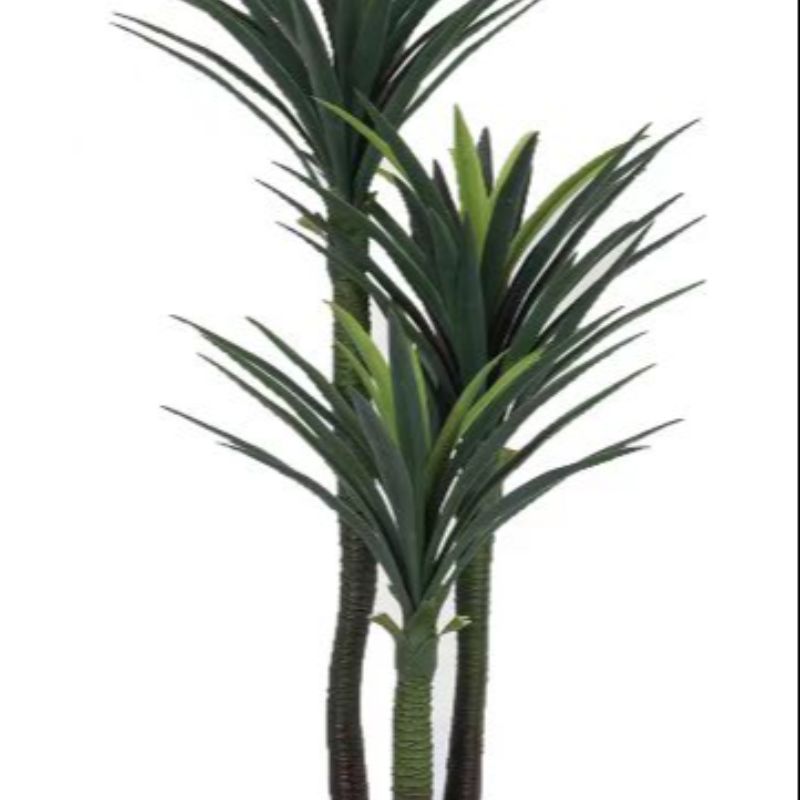 "Fresh and clean plants" details Picture