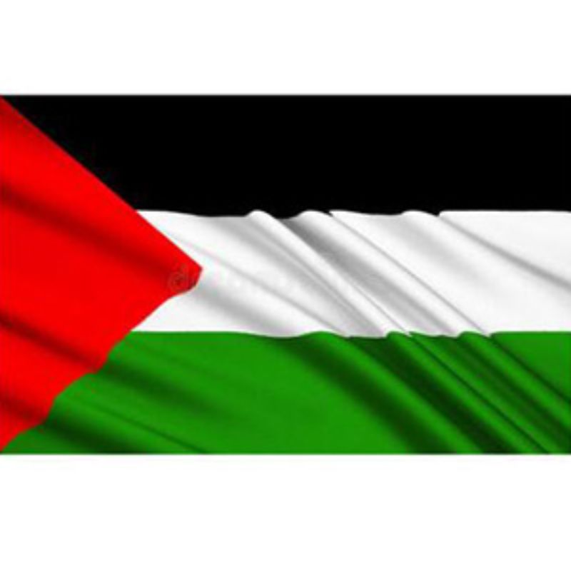 巴勒斯坦旗帜90*150cm牛津布