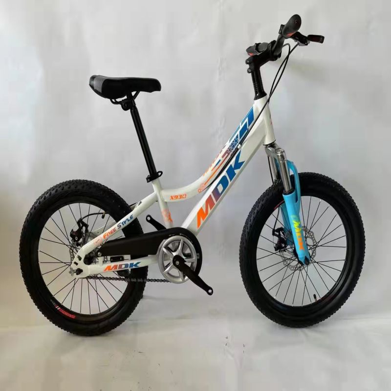Student mountain Bike 20 "single speed high carbon steel frame for men and women Bicycle mountain bike for children