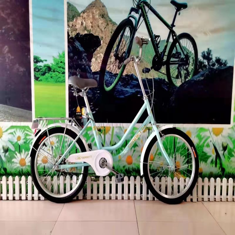 Women's bicycle 22 "double bend frame women's fashion bicycle gift bicycle