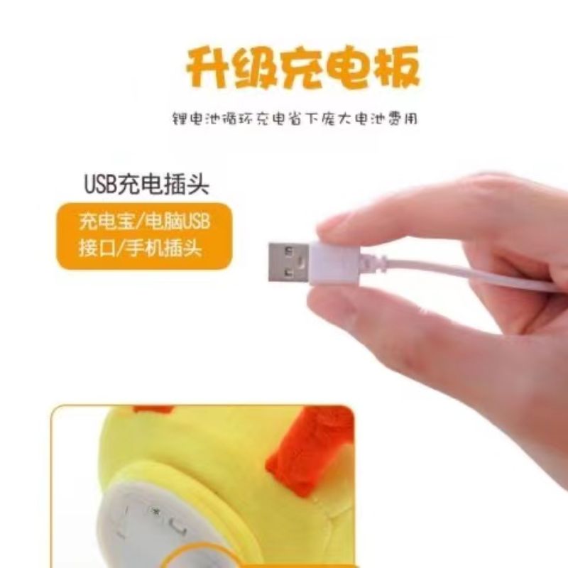 Net Red Hyaluronic Acid Duck Singing Recording Intelligent Toys Children Plush Toys Wholesale Application Scenario