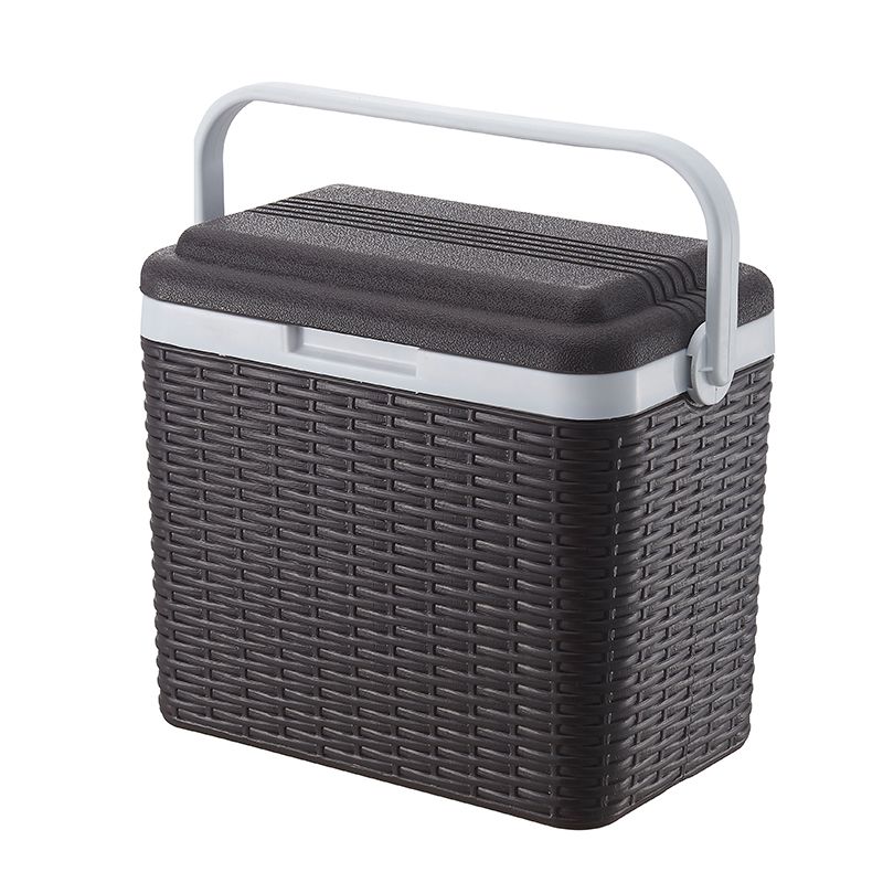 车载冰箱实物图