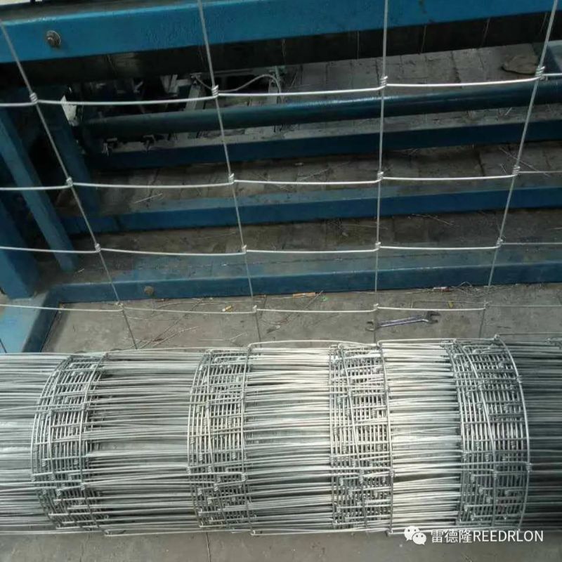 50 Redlon Cattle Pen Network GAME WIRE details Picture