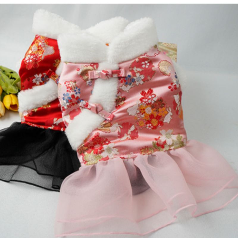 New Year's dress for dogs