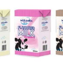 Flavored Milk 250 ml