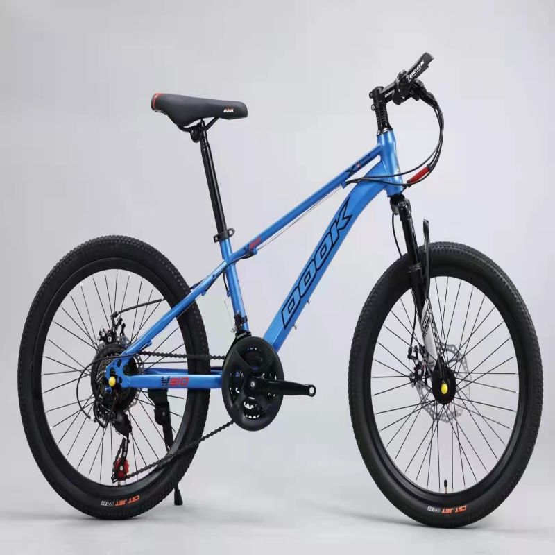 Bicycle 20 inch 21 speed high carbon steel frame DOOK new mountain bike factory direct sales